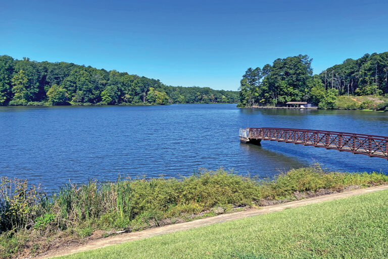 NC State Parks: William B. Umstead State Park – LKN Magazine